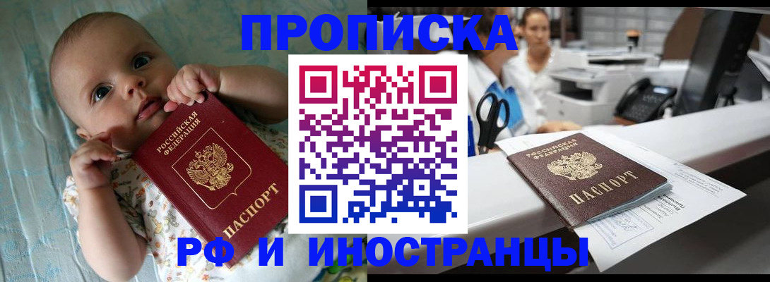 прописка поиск в Владимирской области